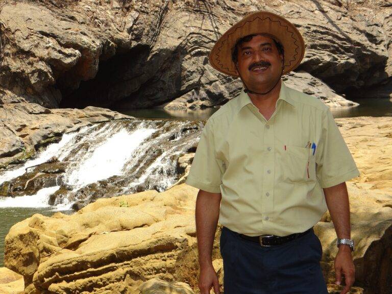 The Role of Political Parties in Influencing Political Campaign Outcomes