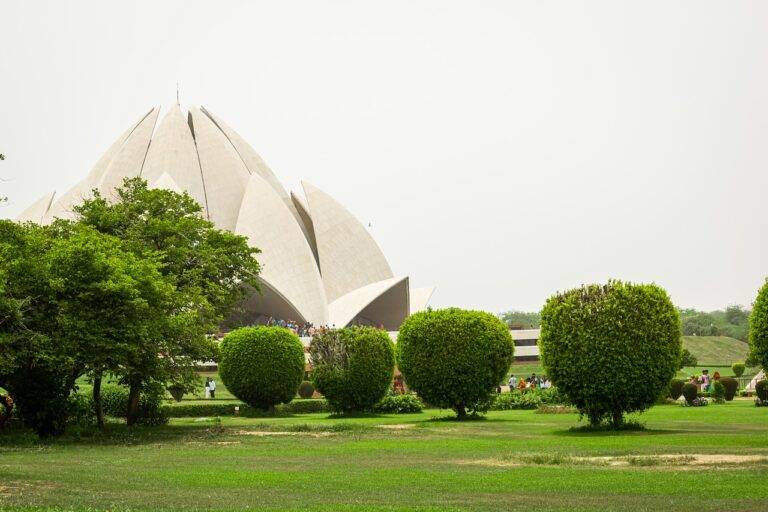 How Political Parties Adapt to Changing Election Campaign Trends