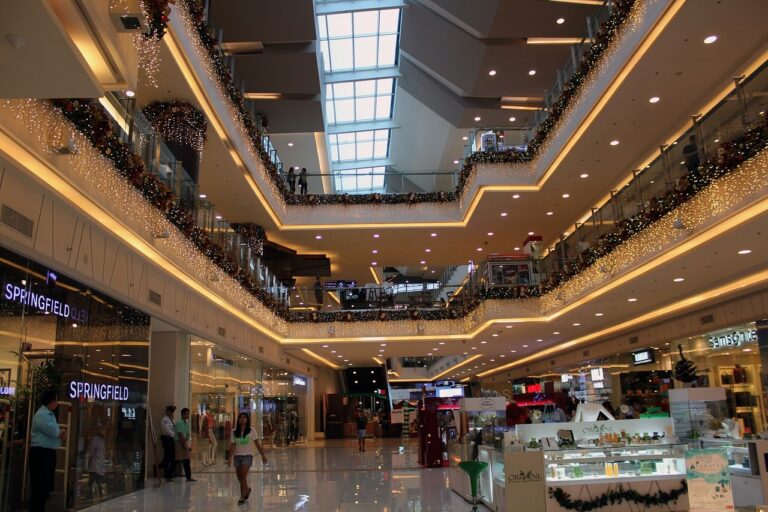 Analyzing the Shift towards Conscious Consumerism