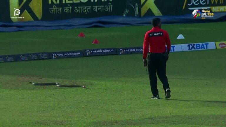 The Benefits of Using a Mahadev ID for Online Betting